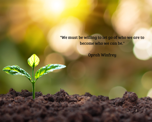 Ontwerp zonder titel