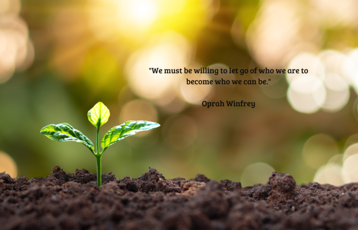 Ontwerp zonder titel